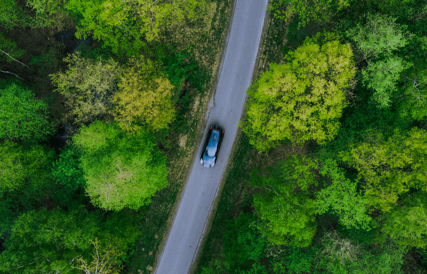Business transportation